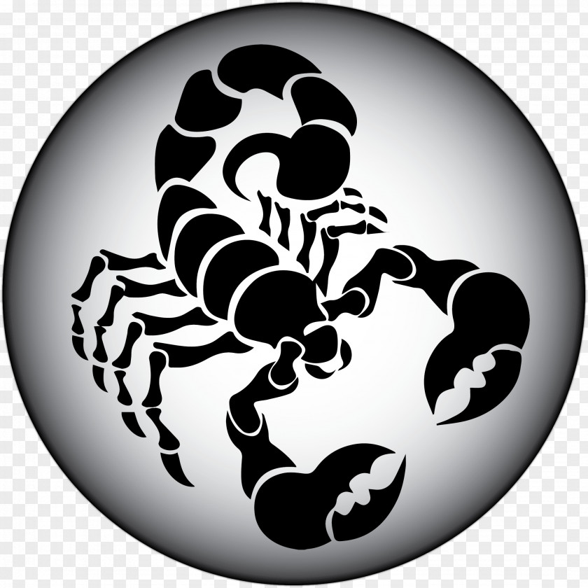 Scorpio Image Scorpion Clip Art PNG