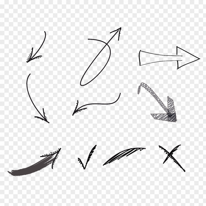 Black And White Pointing To The Arrow PNG