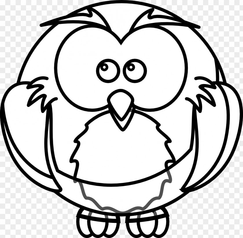 Color Owl Drawing Clip Art PNG