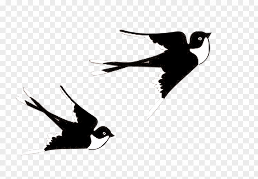 Swallows Flying Creative Elements Cartoon Comics PNG