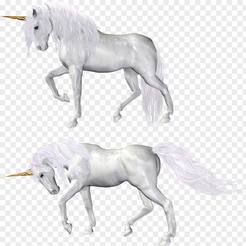 Unicorn Horse PNG