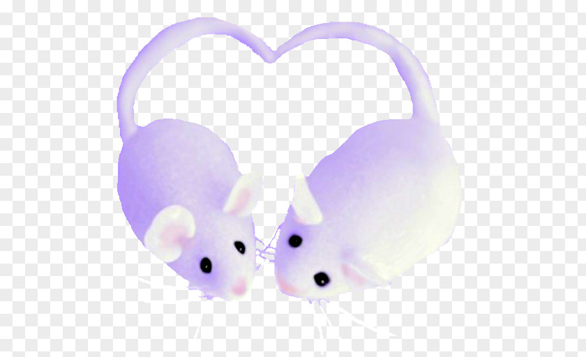 Mouse Rat Cat Ear PNG