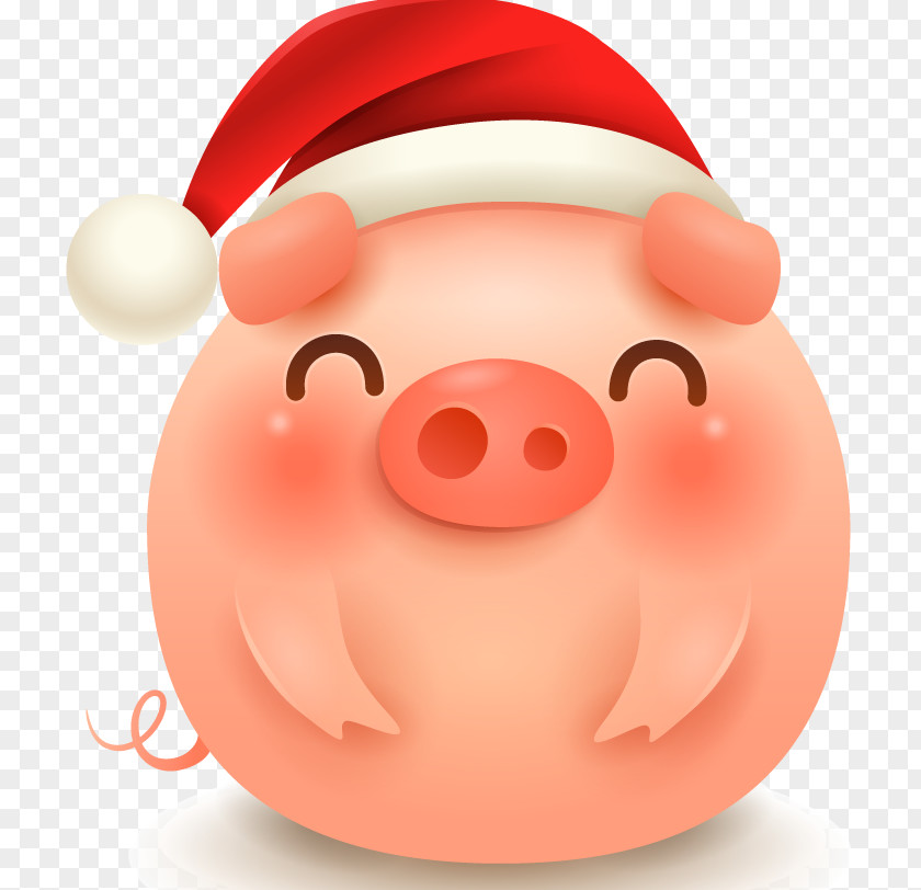 Santa Claus PNG