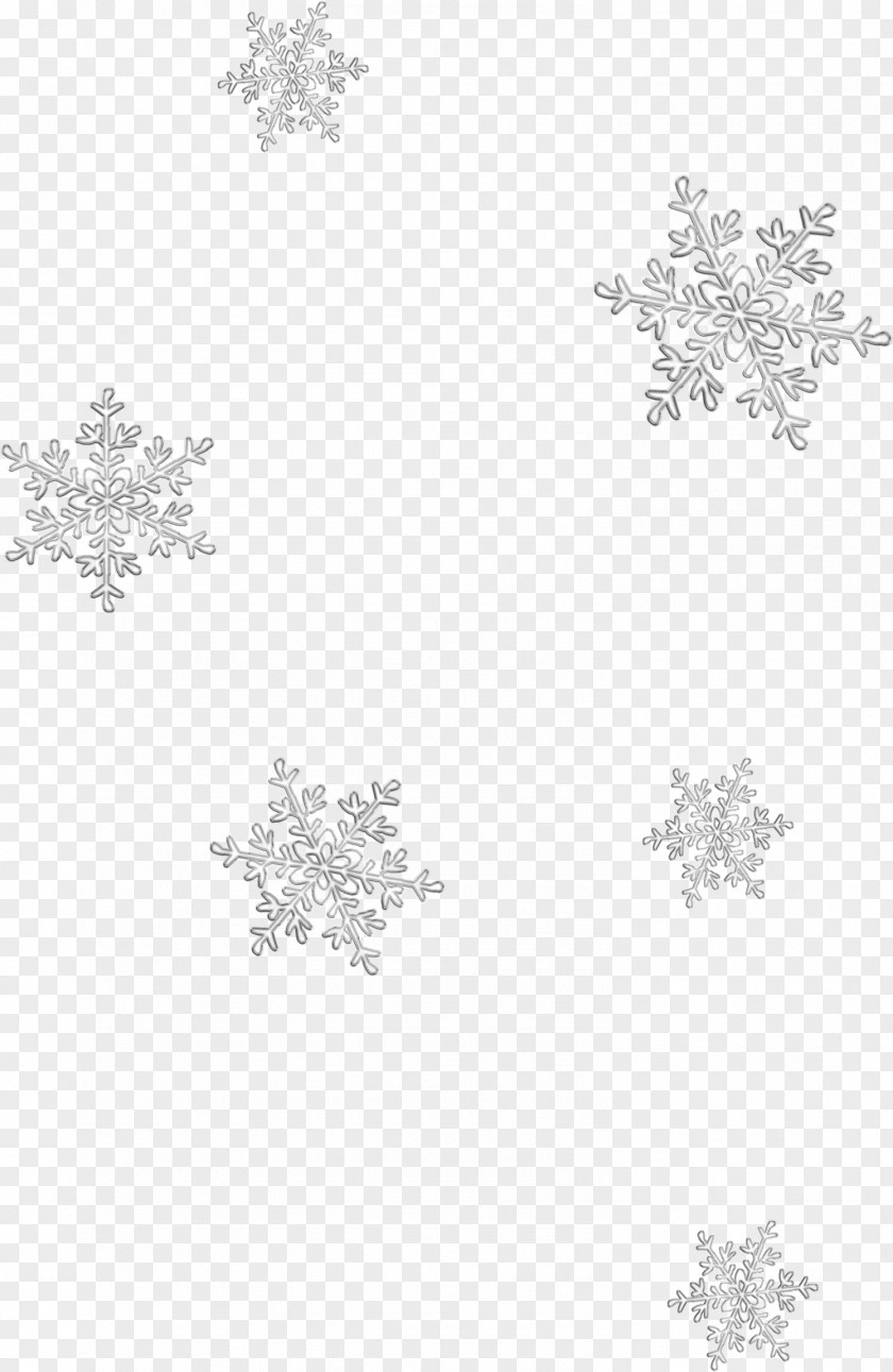 Snow White Black Pattern PNG