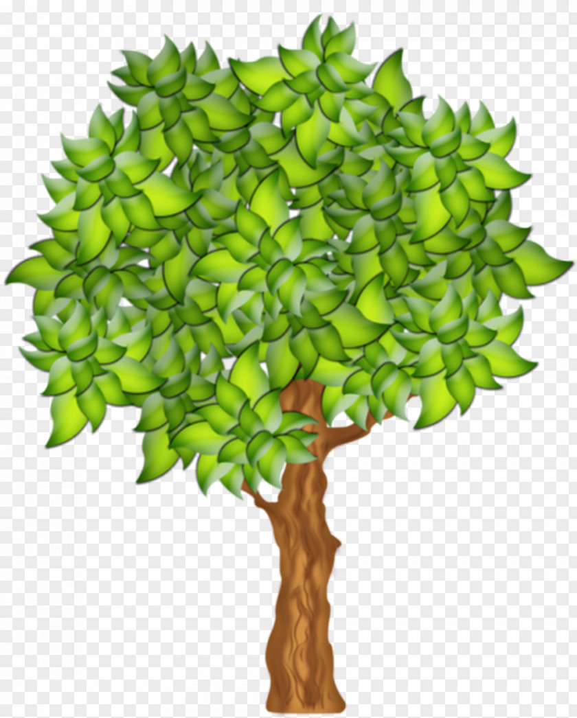 Tree Fruit Clip Art PNG