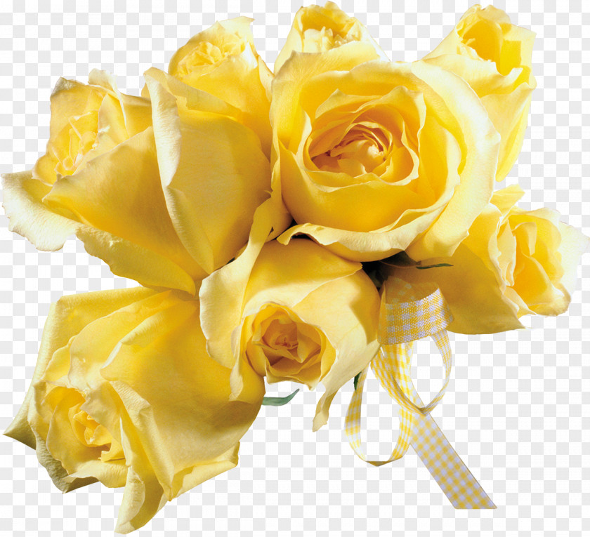 Yellow Rose Animation Photography Blingee PNG
