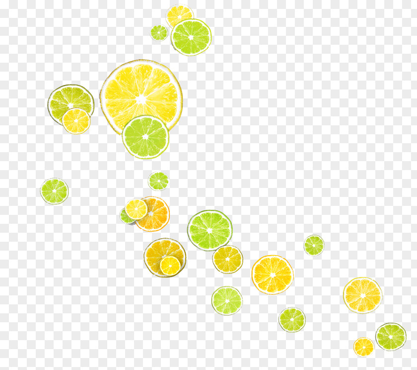 Many Lemon Slices Poster Lime PNG
