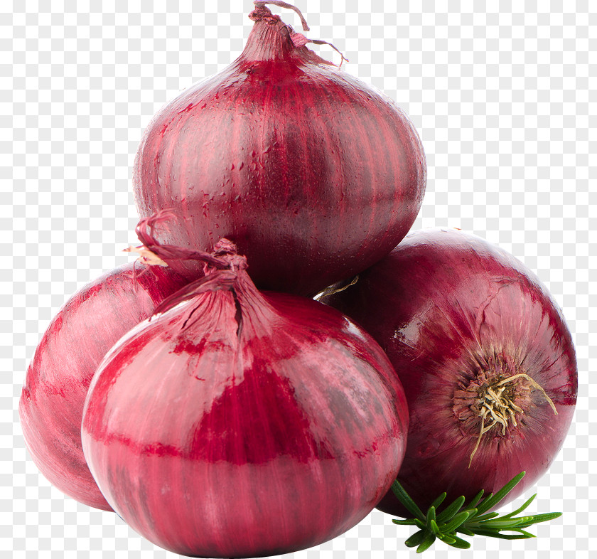 Onion Raw Foodism Organic Food Shallot Red Vegetable PNG