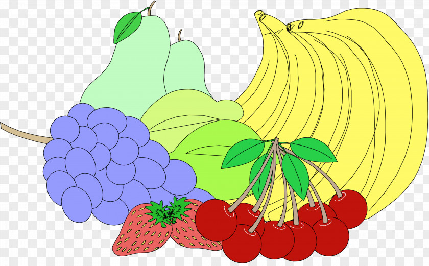 Vegetable Fruit Drawing Clip Art Food PNG