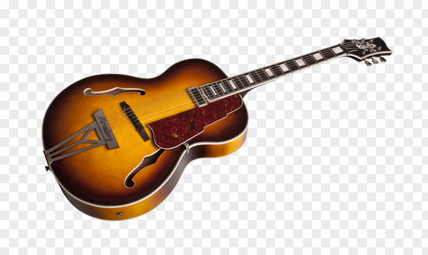 Electric Guitar Ukulele Acoustic Musical Instruments String PNG
