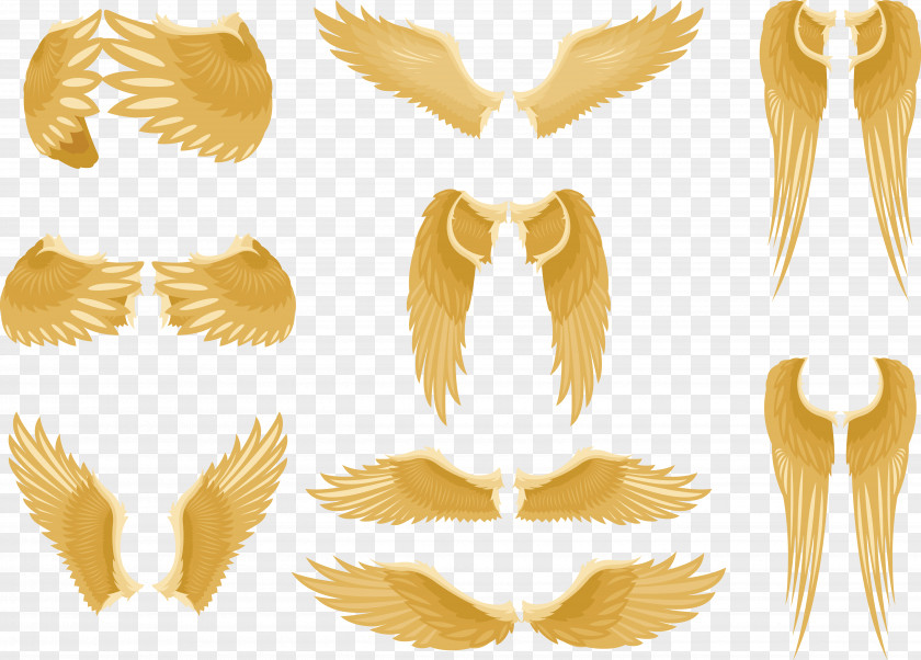 Golden Wings Wing Feather PNG