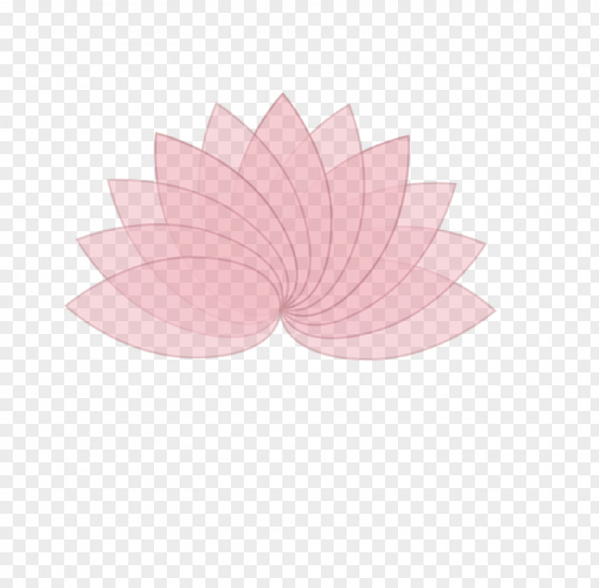 Lotus Creative Chart Petal PNG
