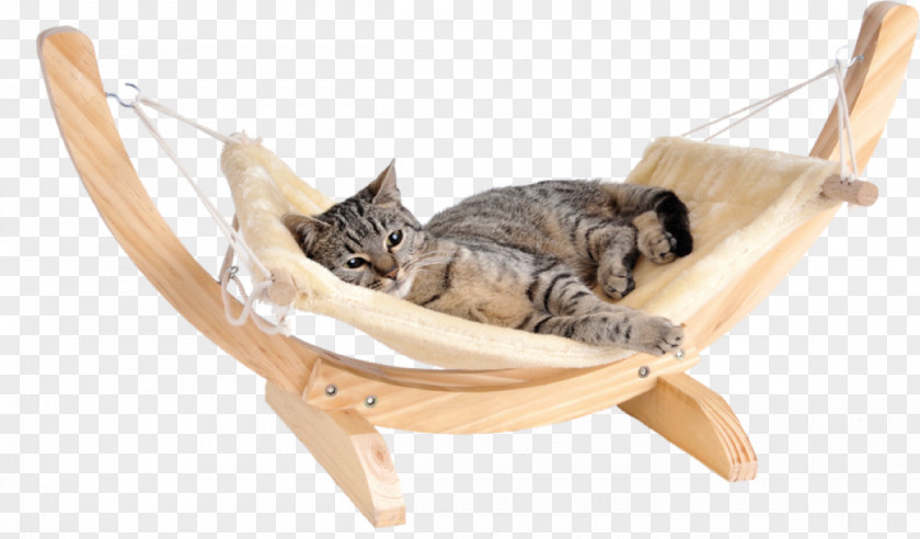 Cat Play And Toys Hammock Felidae Bed PNG
