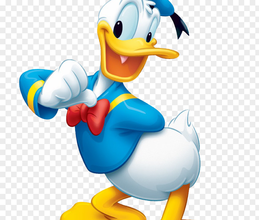 Donald Duck Duck: Goin' Quackers Daisy Minnie Mouse Mickey PNG