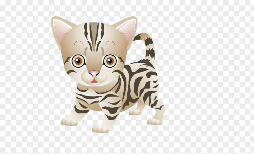 Kitten American Shorthair T-shirt Clip Art PNG