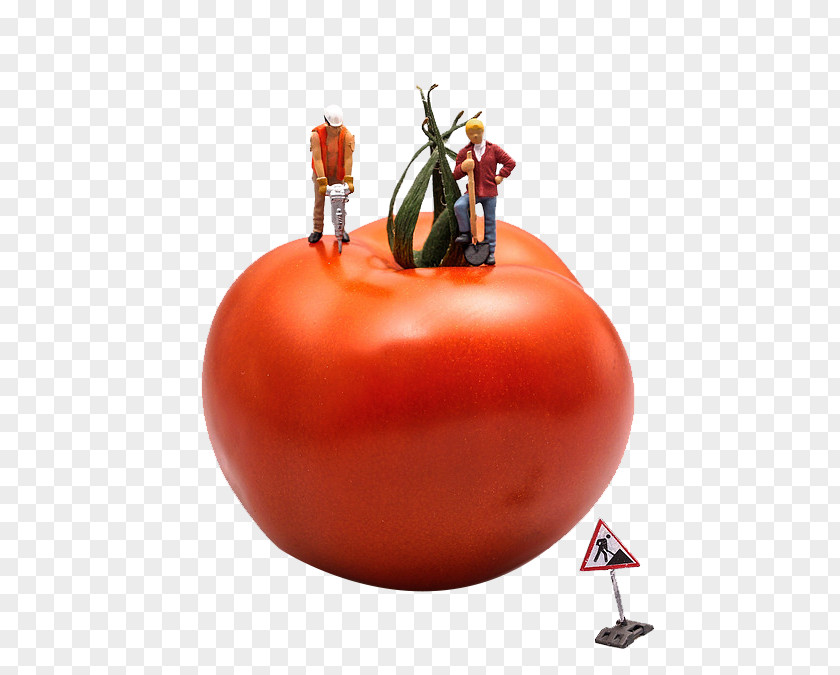 Tomato On Creative Construction Talent Management System Learning Motivation Distraction PNG