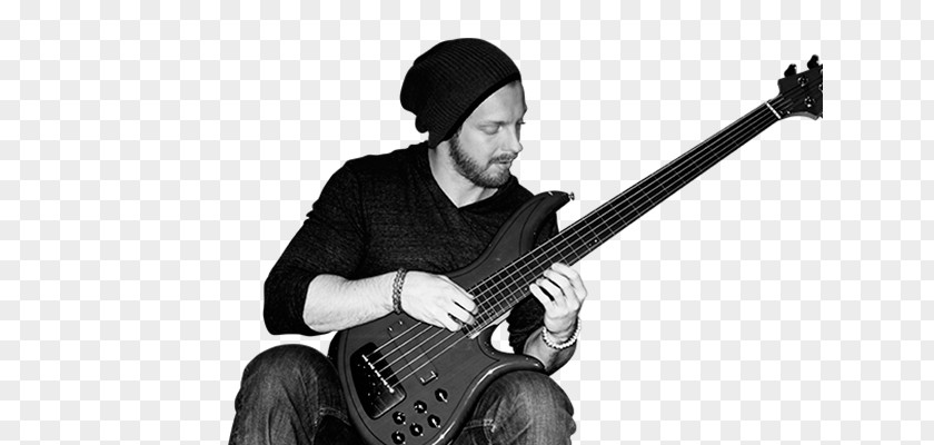 Bass Guitar Bassist Electric Musician PNG