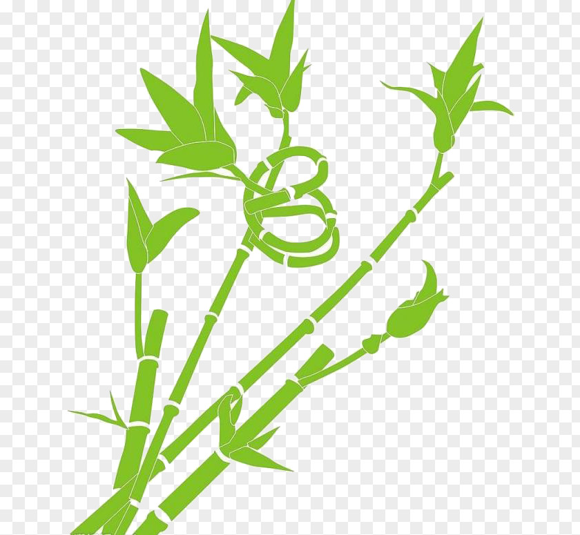 Cartoon Green Lucky Bamboo Material PNG