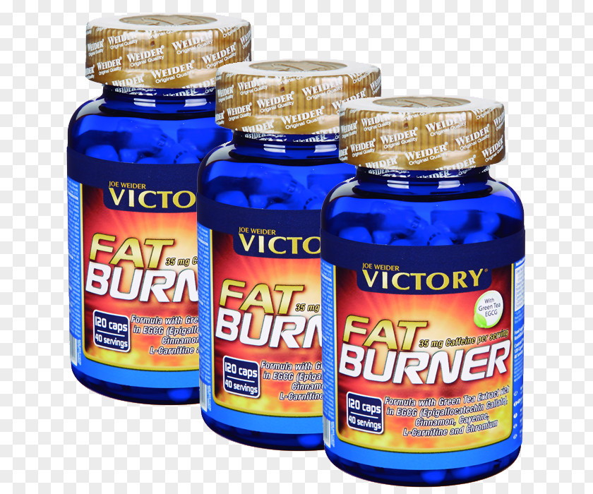 Dietary Supplement Fatburner Weight Loss Thermogenics PNG