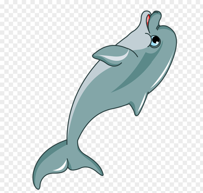 Dolphin Cartoon Clip Art PNG
