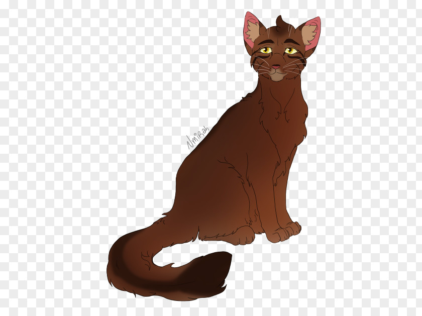 Kitten Havana Brown Whiskers Oakheart Domestic Short-haired Cat PNG