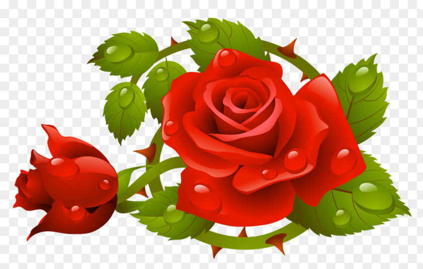 Muttertag Psd Rose Vector Graphics Stock Photography Clip Art Royalty-free PNG