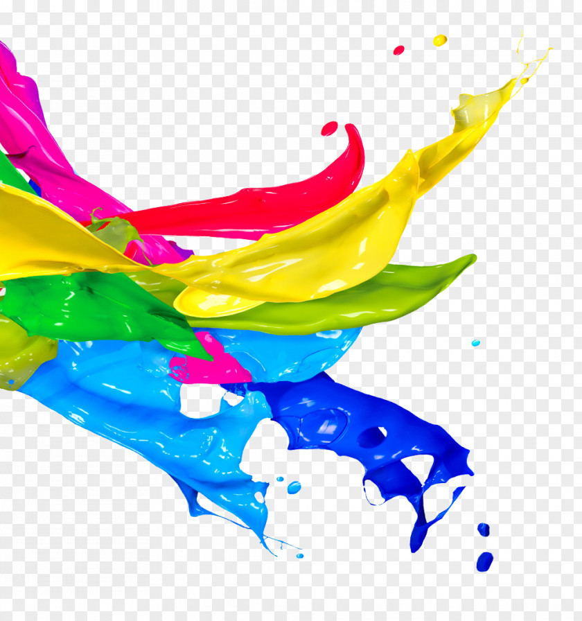 Paint Stock Photography PNG