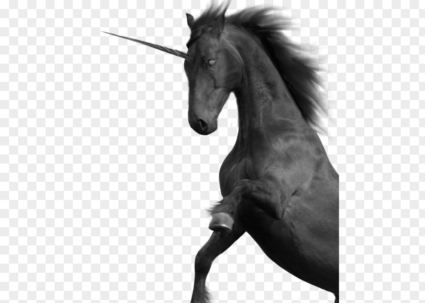 Unicorns Mustang Unicorn Black And White PNG