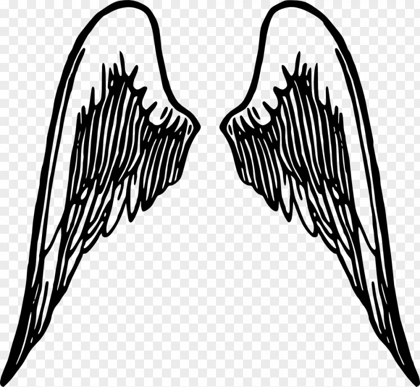 Wings Cliparts Angel Wing Clip Art PNG