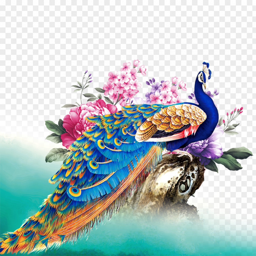 Color Peacock Peafowl Bird PNG