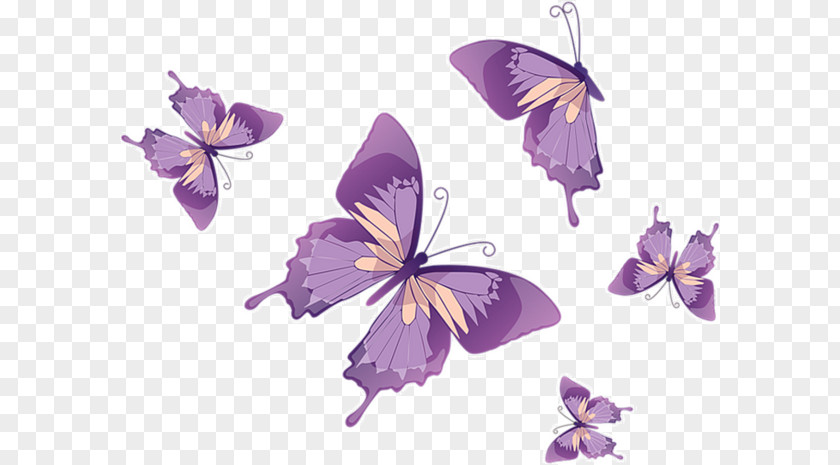 Floating Butterfly Royalty-free Euclidean Vector Clip Art PNG