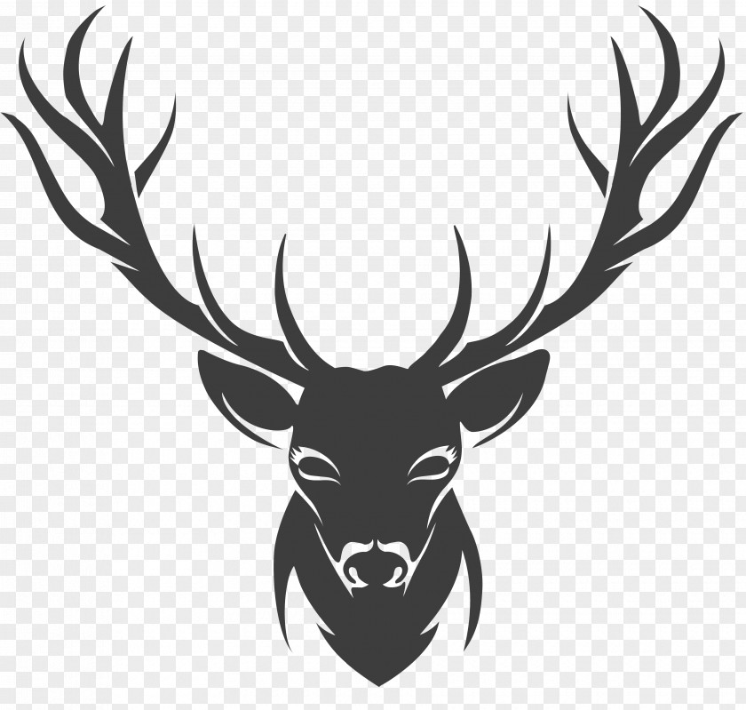 Horns Deer Stencil Drawing PNG