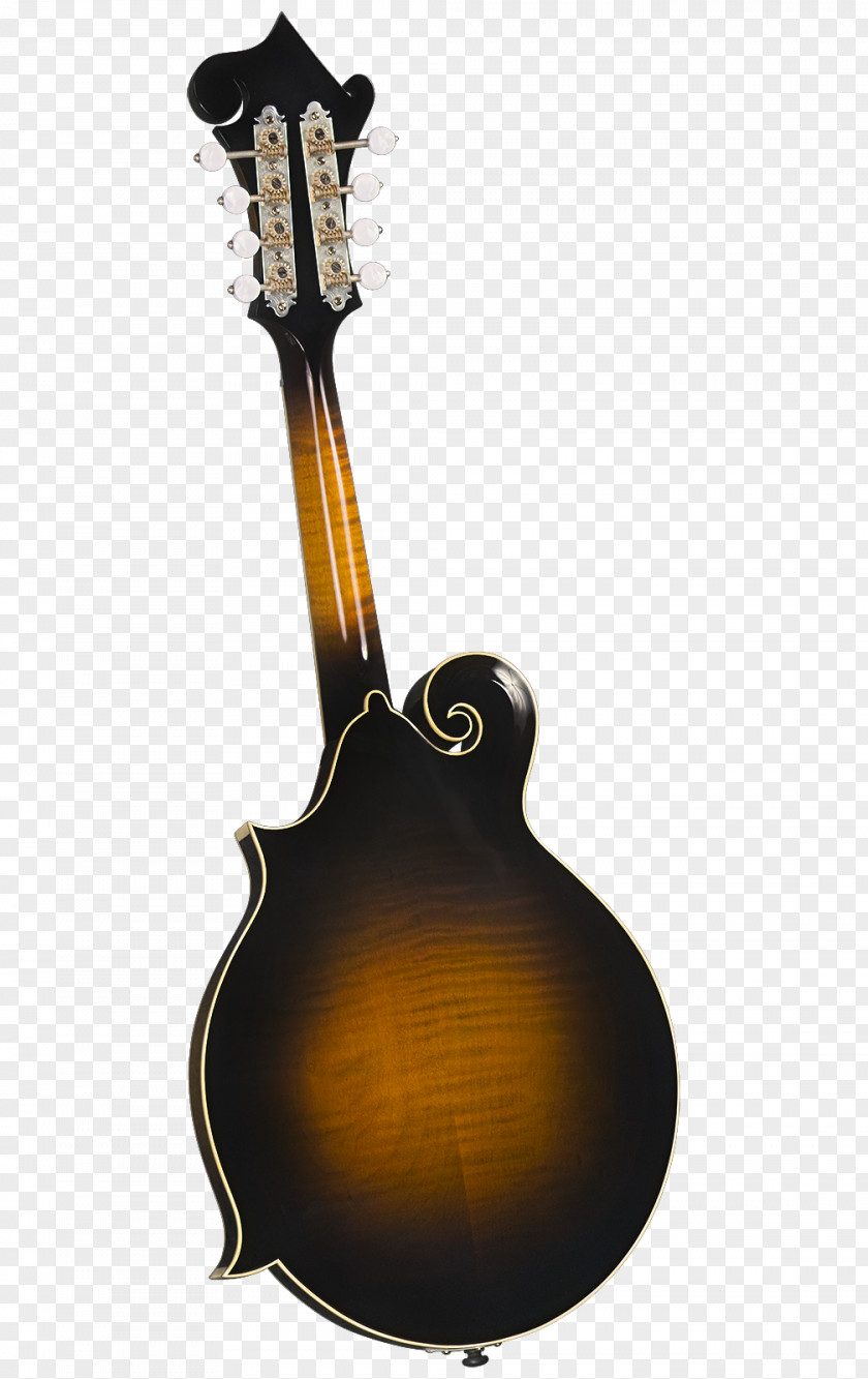 Musical Instruments Acoustic-electric Guitar Mandolin Domra Musician PNG