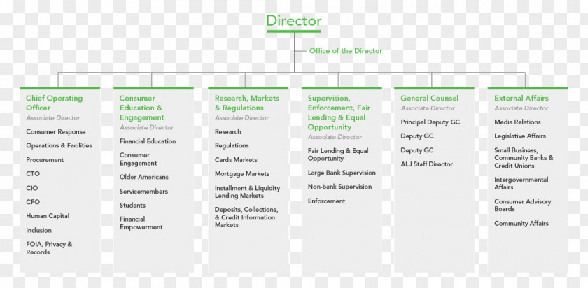 Organization Chart Diagram Brand Line Font PNG