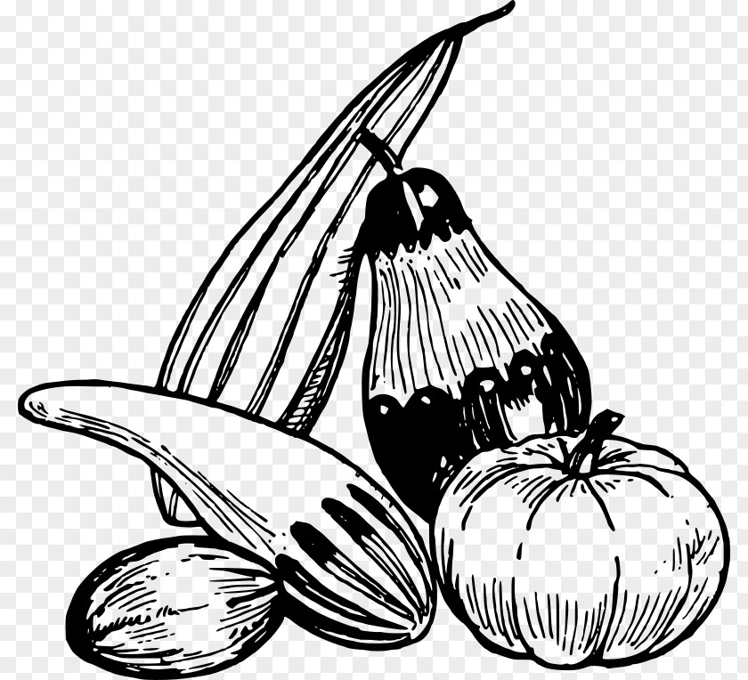Vegetable Drawing Line Art Clip PNG