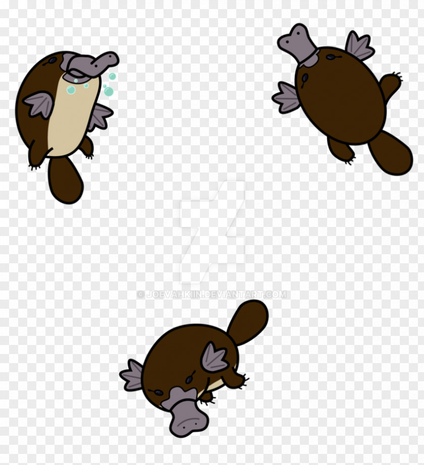 Beaver Platypus Drawing Art Clip PNG