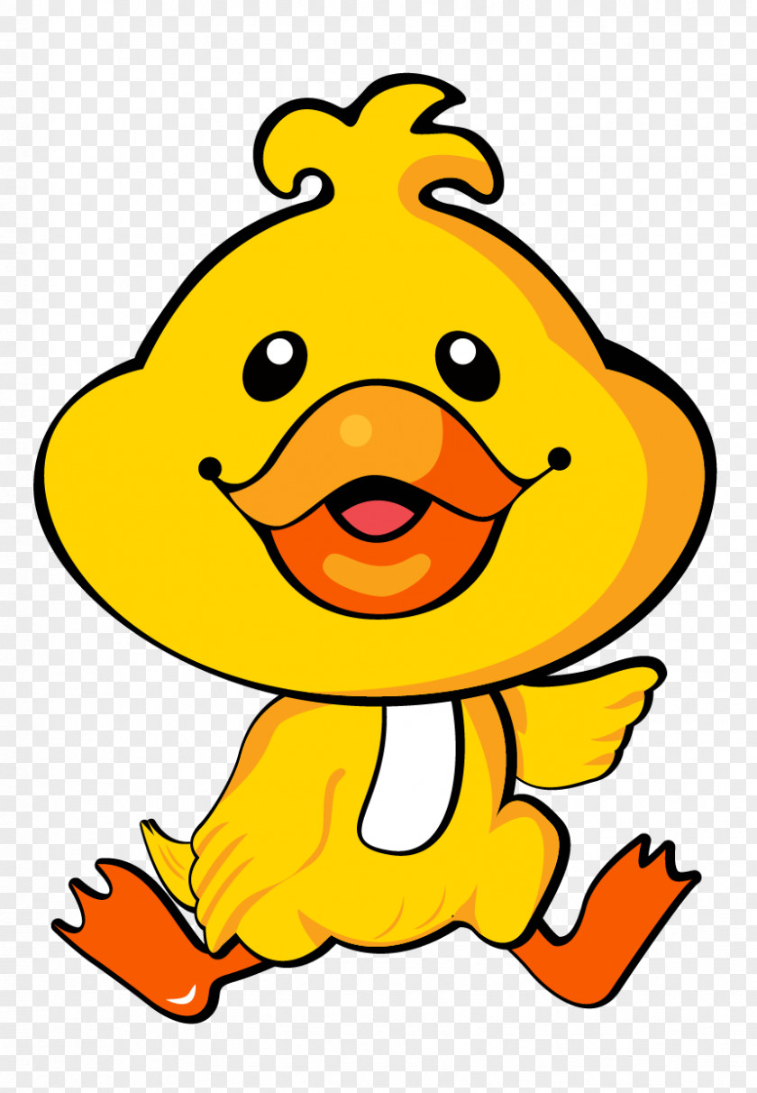 DUCK Bird Art Anatidae Clip PNG