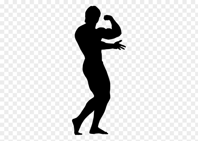 Handsome Men Silhouettes Bodybuilding Silhouette Physical Fitness PNG