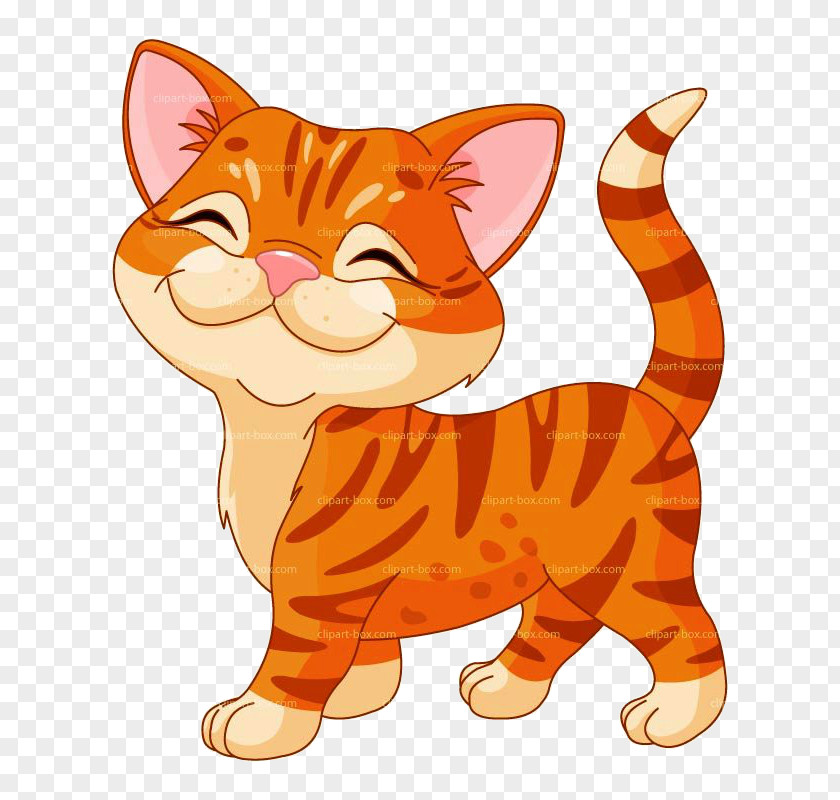 Kitten Tabby Cat Clip Art PNG