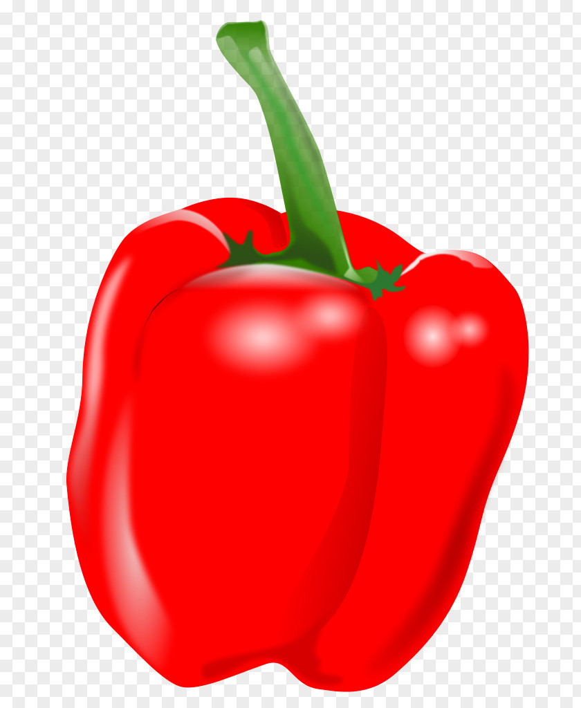 Paprika Habanero Piquillo Pepper Tabasco Cayenne Capsicum PNG