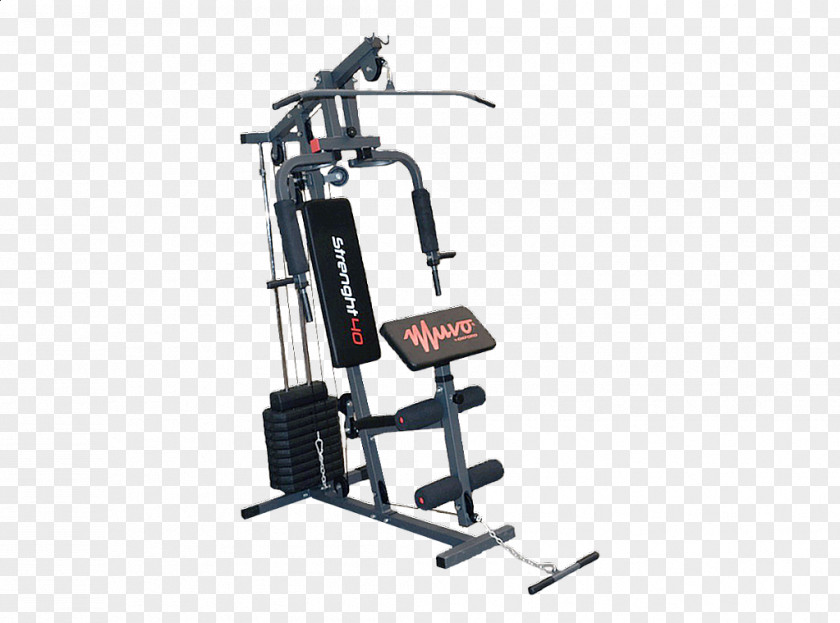 Strenght Fitness Centre Exercise Bikes Physical Bench PNG
