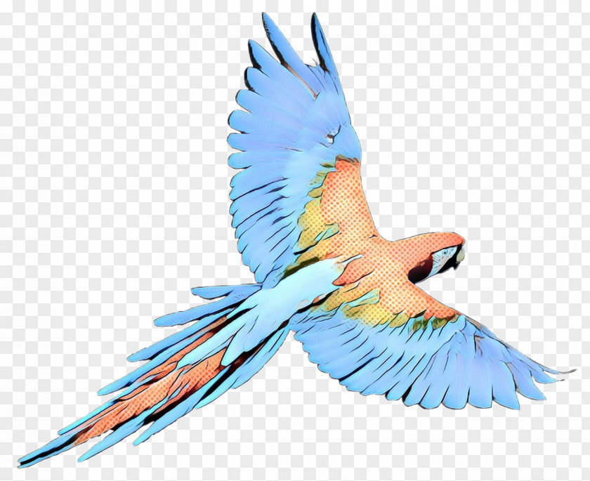 Budgerigar Parrot Macaw Bird Parakeet PNG