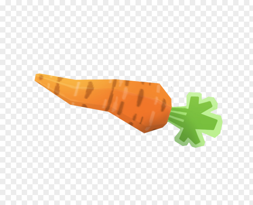 Carrot Veggie Burger Veganism Wiki Vegetable PNG