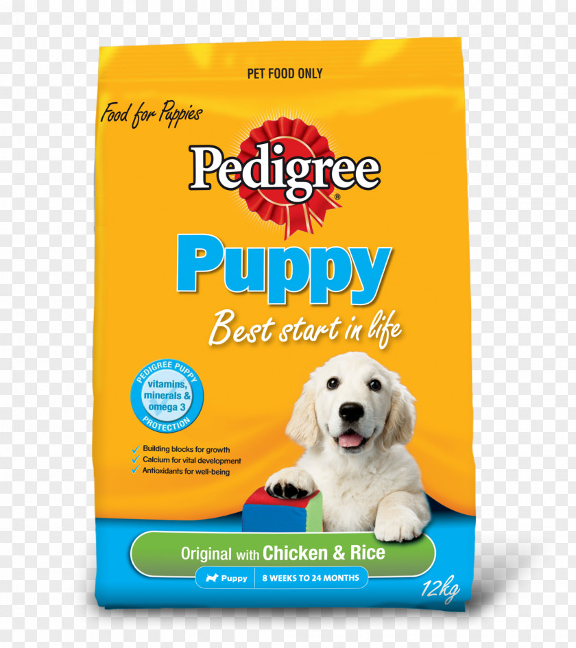 Chicken Farm Dog Household Puppy Family PNG