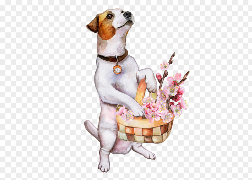 Companion Dog Russell Terrier Wolf Cartoon PNG