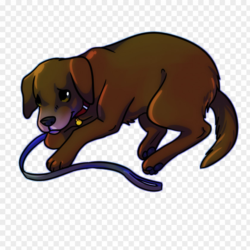 Competiton Dog Breed Puppy Cat Snout PNG