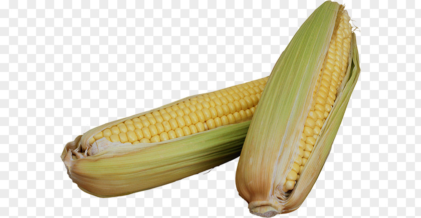 Corn On The Cob Sweet Maize Cereal Fastiv PNG