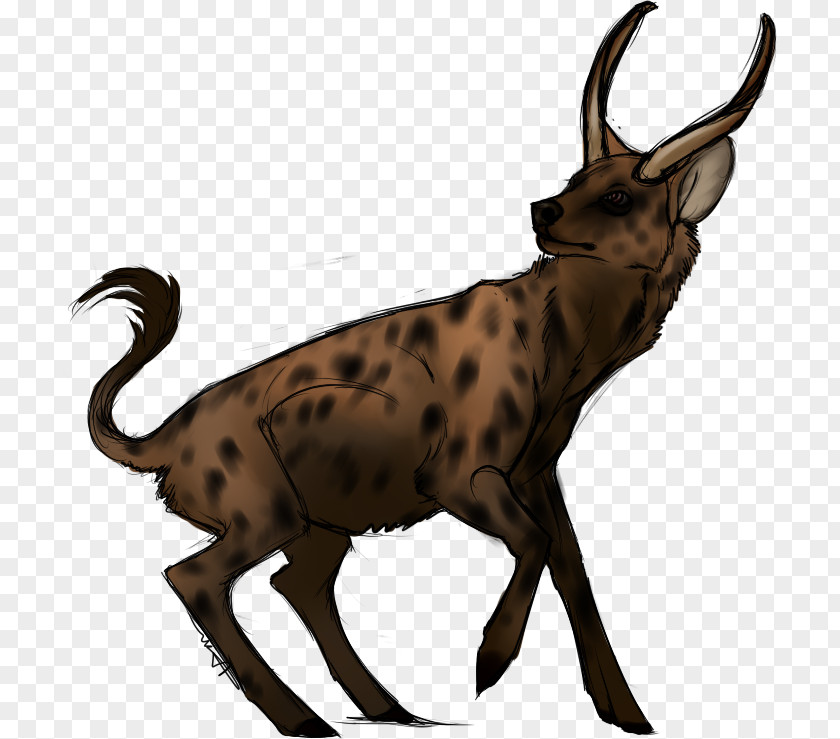 Deer Antelope Goat Horn Wildlife PNG