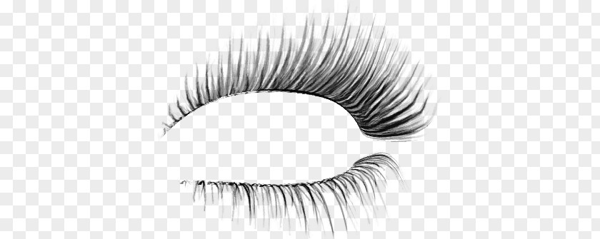 Eyelash Extensions Cosmetics PNG