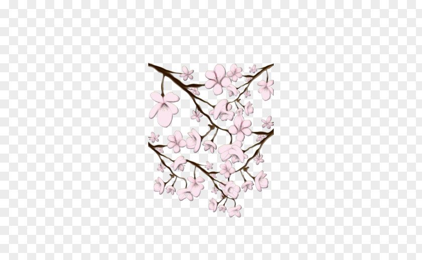 Magnolia Cherry Blossom PNG